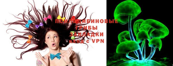 спайс Няндома