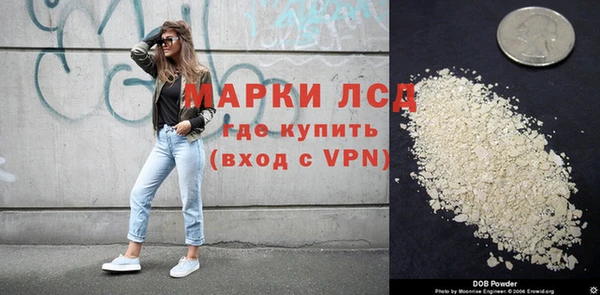 спайс Няндома
