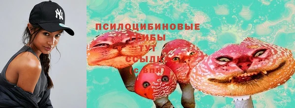 a pvp Алексеевка