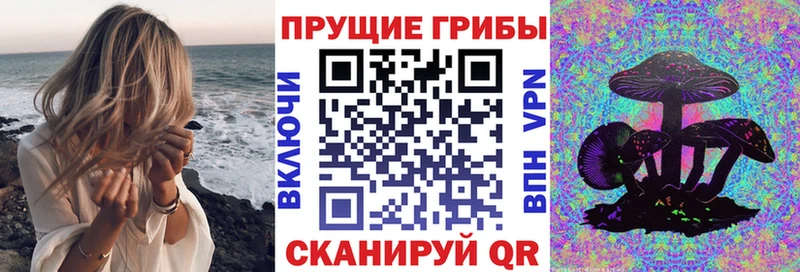ссылка на мегу зеркало  Сосновка  Галлюциногенные грибы GOLDEN TEACHER 